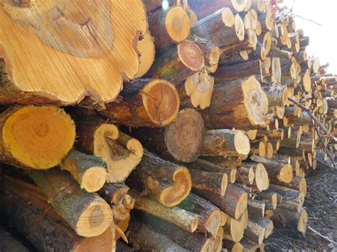 11月12月包裝紙價格將高位震蕩、緩慢上行